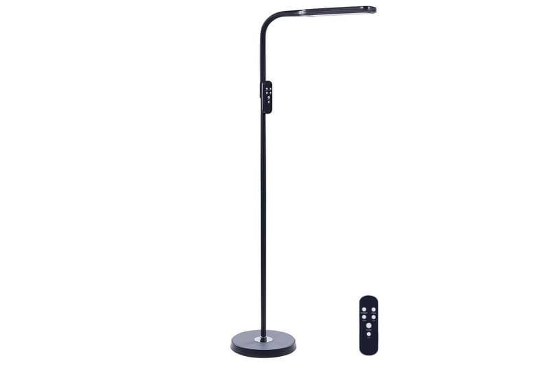 Capraia Golvlampa 160 cm - Svart - Belysning - Lampor & belysning inomhus - Golvlampa