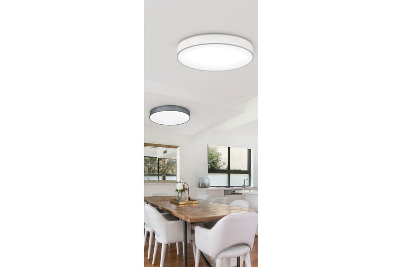 Trio Lighting Lugano LED plafond 60cm grå - Taklampa sovrum - Kökslampa & taklampa kök - Hall lampa - Fönsterlampa - Pendellampa & hänglampa - Taklampa vardagsrum - Fönsterlampa hängande - Taklampa & takbelysning