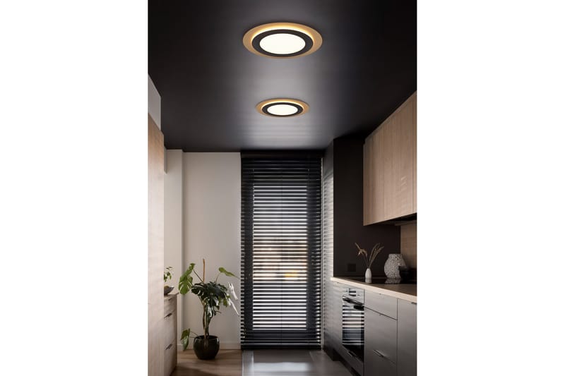 Trio Lighting Morgan LED plafond 45 cm mattsvart/ guld - Belysning - Lampor & belysning inomhus - Taklampa & takbelysning - Takplafond