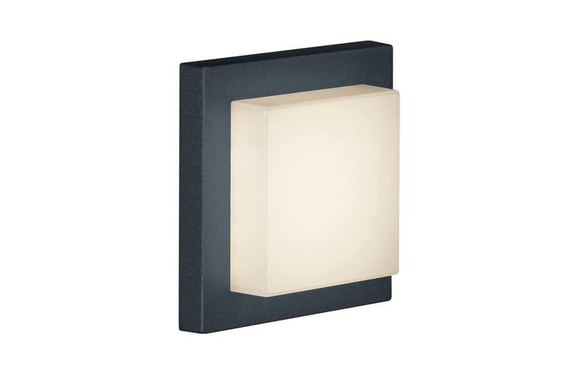 Trio Lighting Hondo LED plafond antracit - Vit - Belysning - Lampor & belysning inomhus - Vägglampa