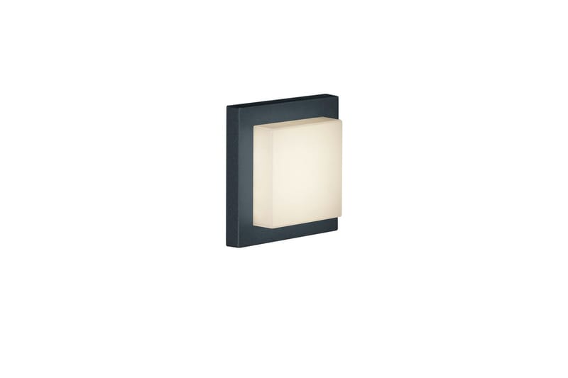 Trio Lighting Hondo LED plafond antracit - Vit - Belysning - Lampor & belysning inomhus - Vägglampa