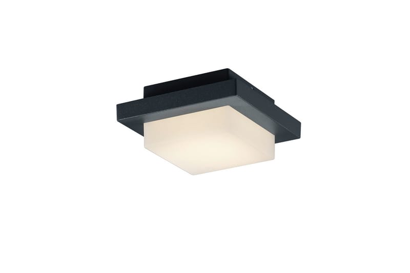 Trio Lighting Hondo LED plafond antracit - Vit - Belysning - Lampor & belysning inomhus - Vägglampa