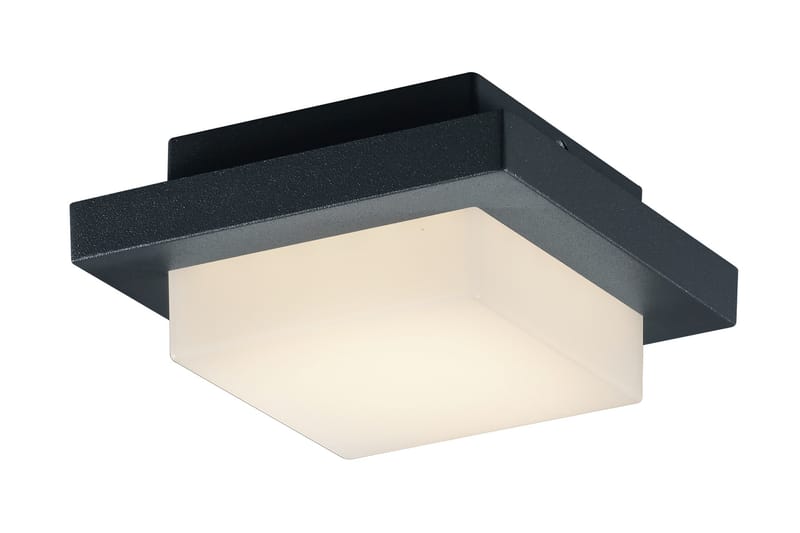 Trio Lighting Hondo LED plafond antracit - Vit - Belysning - Lampor & belysning inomhus - Vägglampa