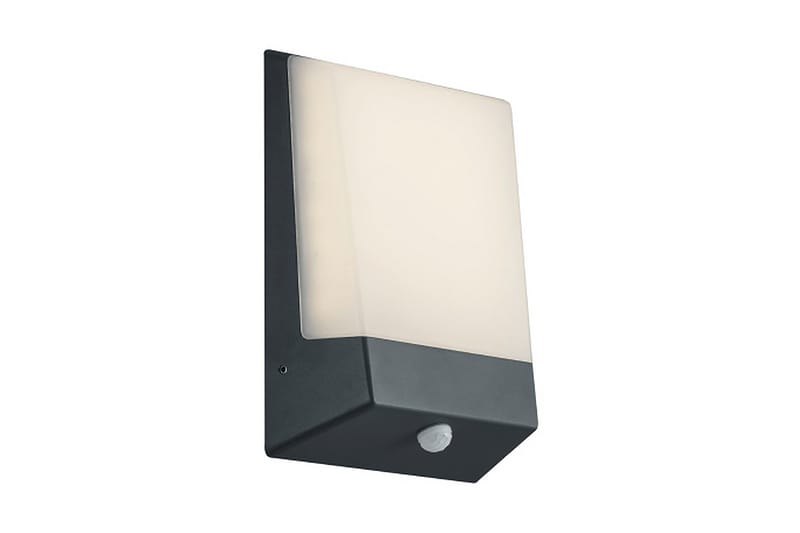 Trio Lighting Kasai LED vägglampa / husnummer antracit - Vit - Fasadbelysning & vägglyktor