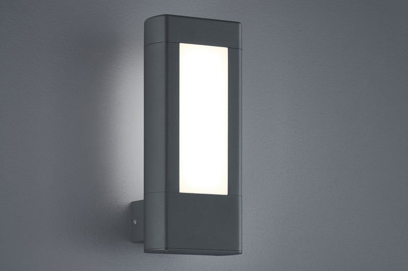 Trio Lighting Rhine LED vägglampa antracit - Vit - Fasadbelysning & vägglyktor