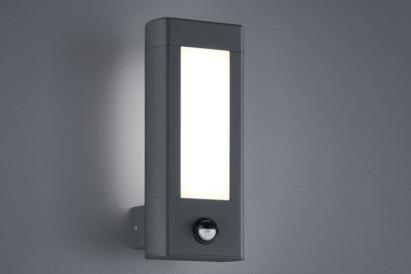 Trio Lighting Rhine LED vägglampa rörelsessensor antracit - Vit - Fasadbelysning & vägglyktor