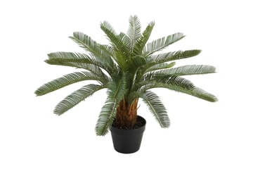 Grön växt CYCAS H70cm svart kruka - Inredning - Dekoration & inredningsdetaljer - Konstväxt & plastblommor