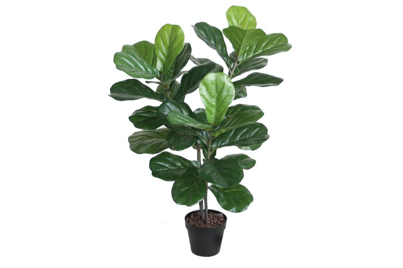 Grön växt FIDDLE LEAF H100 2 grenar svart kruka - Inredning - Dekoration & inredningsdetaljer - Konstväxt & plastblommor