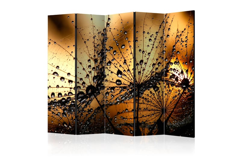 Rumsavdelare Dandelions In The Rain 225x172 - Artgeist sp. z o. o. - Inredning - Dekoration & inredningsdetaljer - Rumsavdelare