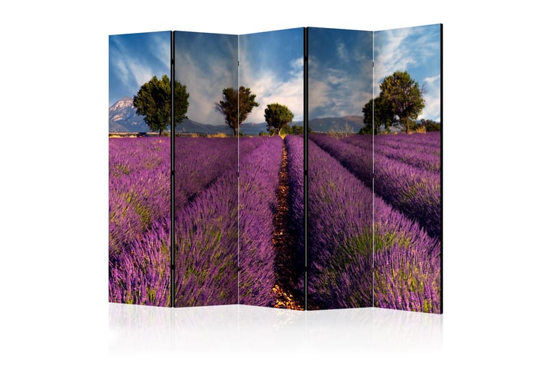 Rumsavdelare Lavender Field in Provence 225x172 cm - Artgeist sp. z o. o. - Inredning - Dekoration & inredningsdetaljer - Rumsavdelare