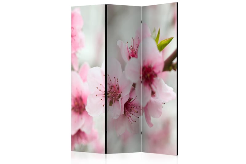 Rumsavdelare - Spring, blooming tree flowers 135x172 - Artgeist sp. z o. o. - Inredning - Dekoration & inredningsdetaljer - Rumsavdelare