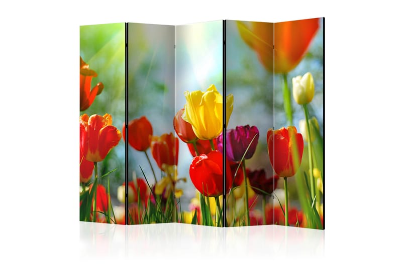 Rumsavdelare Spring Tulips II 225x172 cm - Artgeist sp. z o. o. - Inredning - Dekoration & inredningsdetaljer - Rumsavdelare