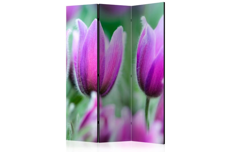 Rumsavdelare Purple Spring Tulips 135x172 cm - Artgeist sp. z o. o. - Inredning - Dekoration & inredningsdetaljer - Rumsavdelare