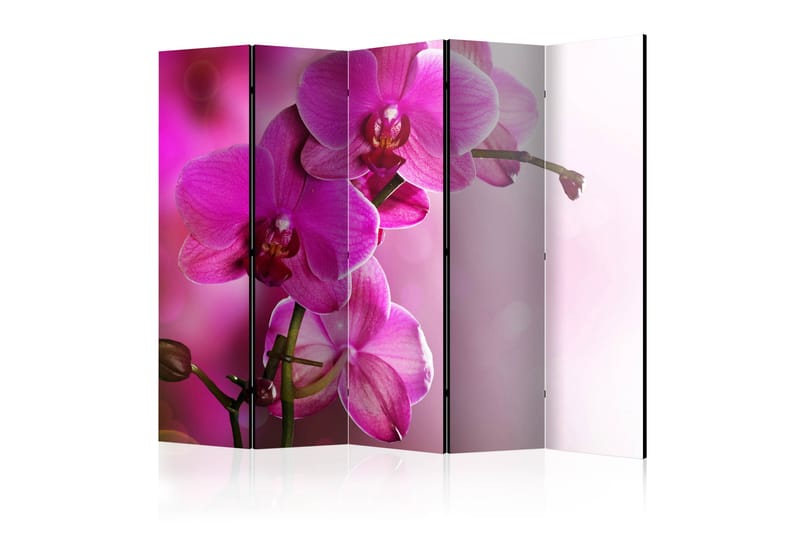 Rumsavdelare - Pink orchid II 225x172 - Artgeist sp. z o. o. - Rumsavdelare - Vikvägg