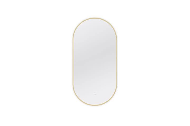 Vägghängd Spegel Micedi 50x100 cm - Guld - Hallspegel - Väggspegel