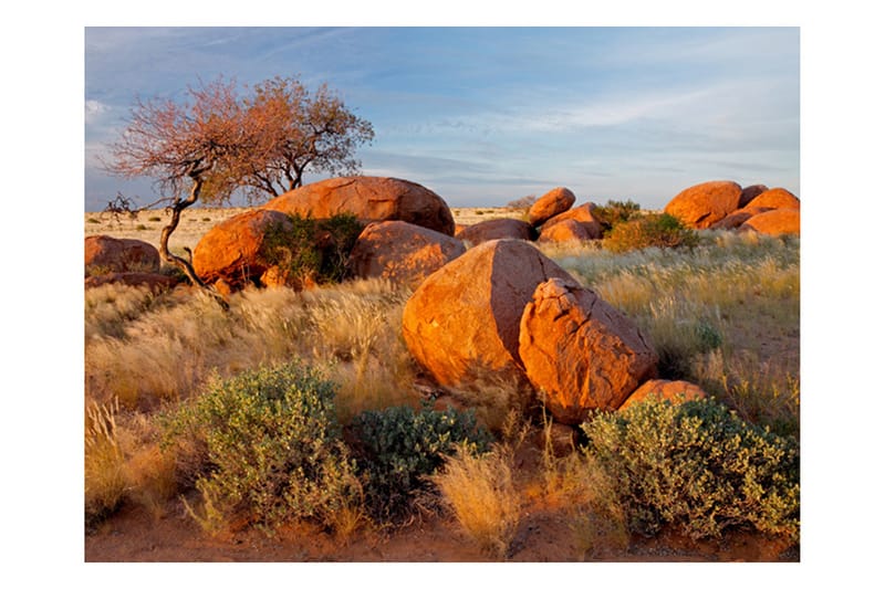 Fototapet Afrikanska Landskapet Namibia 300x231 - Artgeist sp. z o. o. - Inredning - Tapet - Fototapet