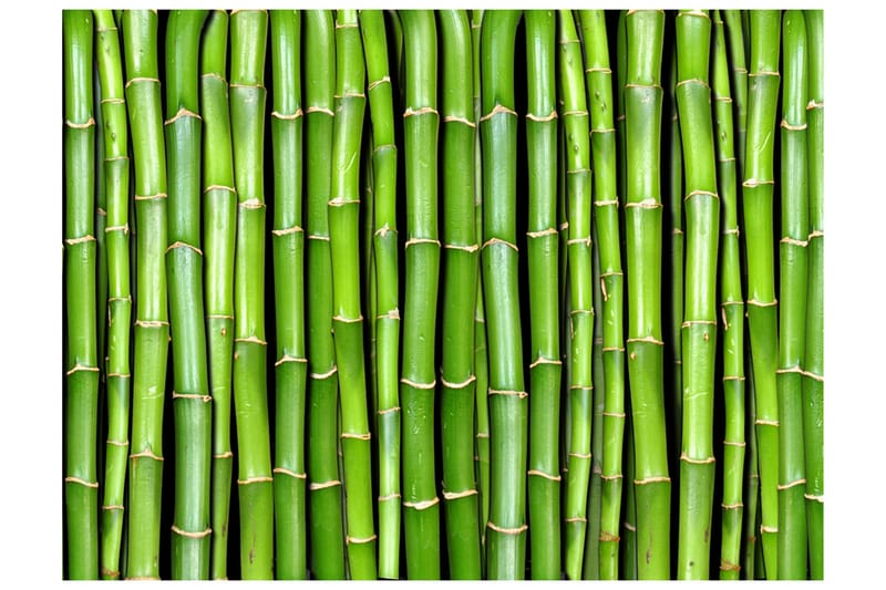 Fototapet Bamboo Wall 200x154 - Artgeist sp. z o. o. - Inredning - Tapet - Fototapet