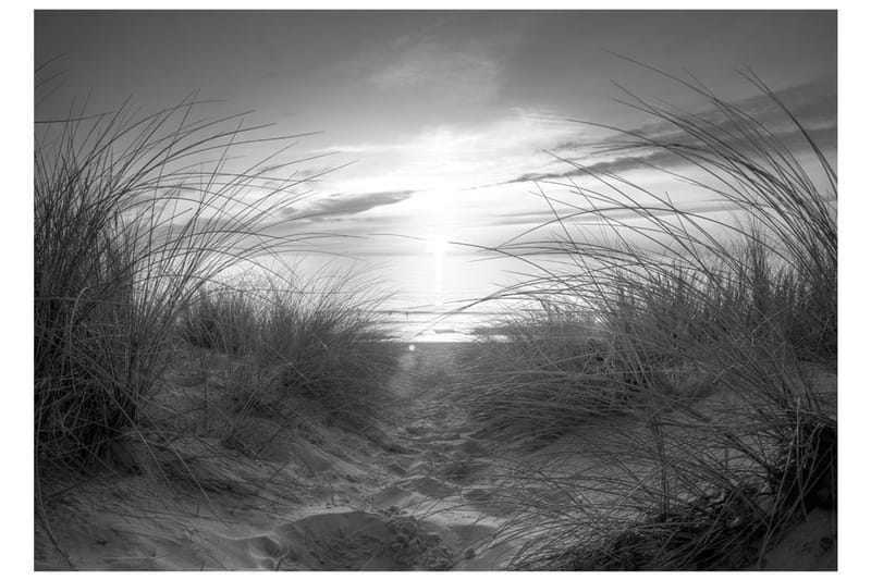 Fototapet Beach Black And White 100x70 - Artgeist sp. z o. o. - Inredning - Tapet - Fototapet