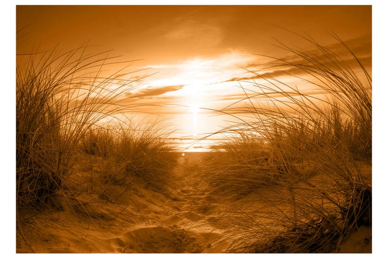 Fototapet Beach Sepia 100x70 - Artgeist sp. z o. o. - Inredning - Tapet - Fototapet