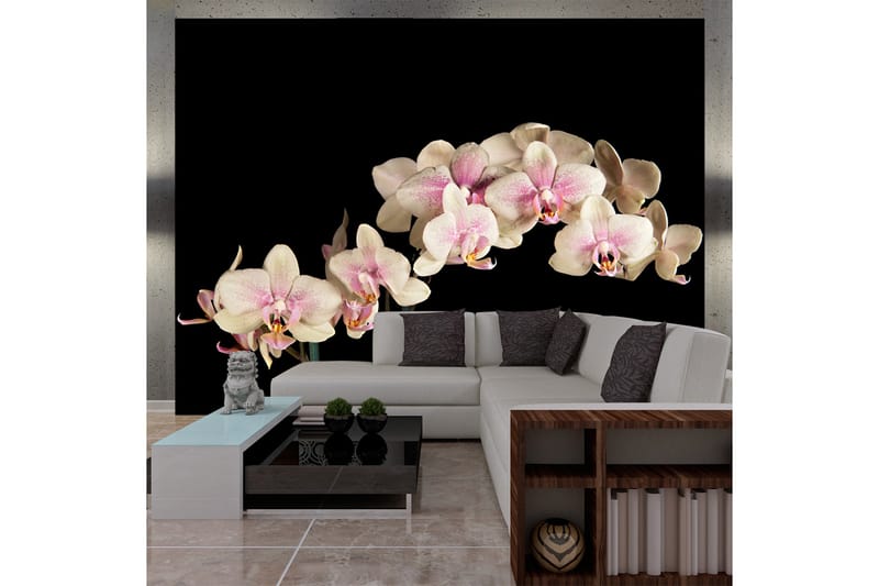 Fototapet Blooming Orchid 250x193 - Artgeist sp. z o. o. - Inredning - Tapet - Fototapet