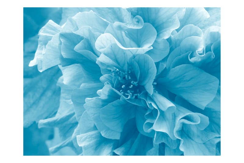 Fototapet Blue Azalea 250x193 - Artgeist sp. z o. o. - Inredning - Tapet - Fototapet