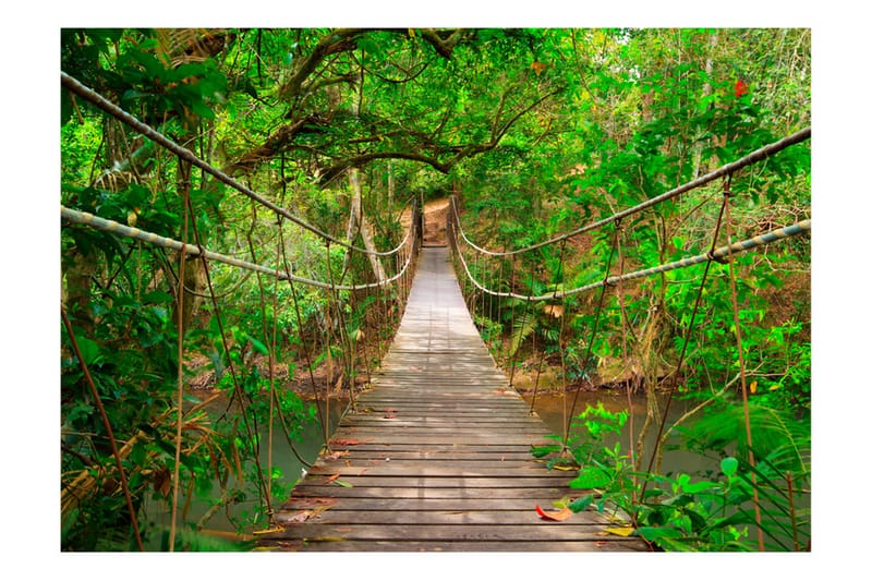 Fototapet Bridge Amid Greenery 100x70 - Artgeist sp. z o. o. - Inredning - Tapet - Fototapet