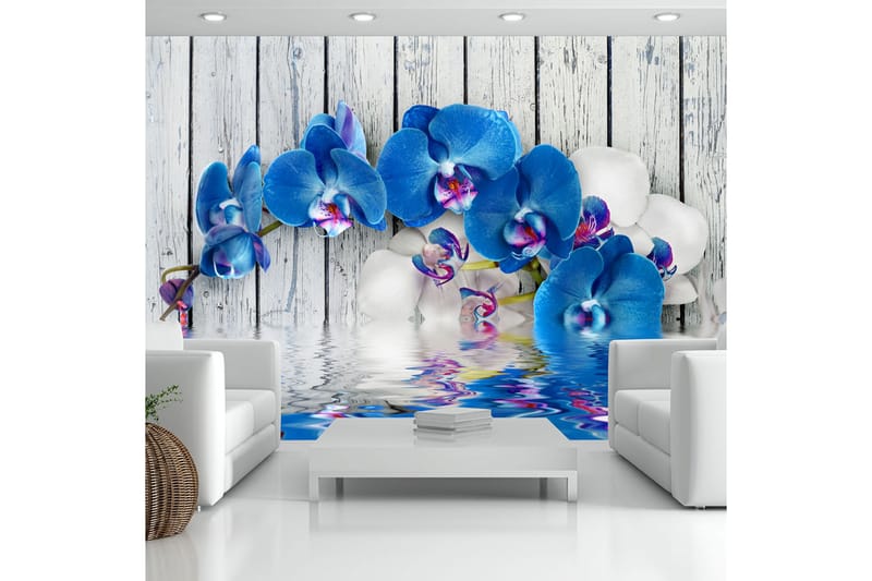 Fototapet Cobaltic Orchid 350x245 - Artgeist sp. z o. o. - Inredning - Tapet - Fototapet