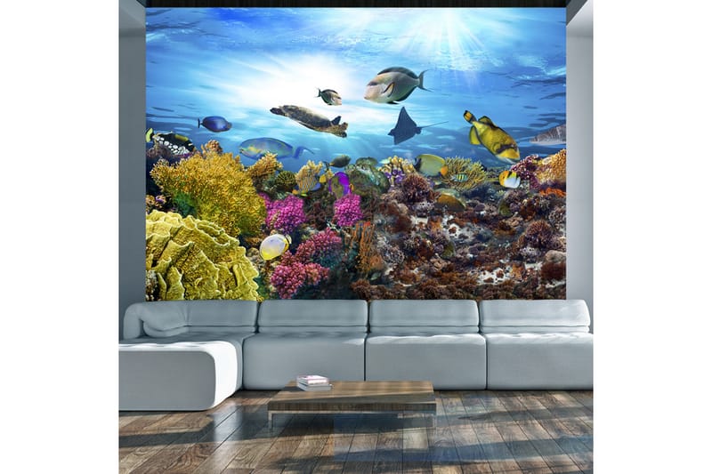 Fototapet Coral Reef 100x70 - Artgeist sp. z o. o. - Inredning - Tapet - Fototapet