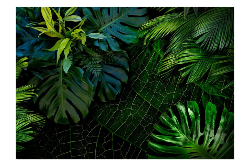 Fototapet Dark Jungle 150x105 - Artgeist sp. z o. o. - Tapeter vardagsrum - Fototapet - Kökstapeter - Tapeter sovrum & sovrumstapet