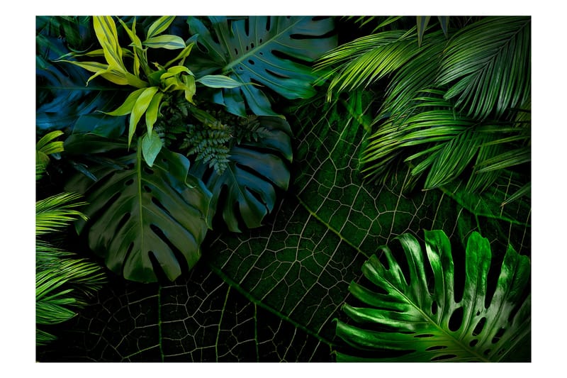 Fototapet Dark Jungle 200x140 - Artgeist sp. z o. o. - Inredning - Tapet - Fototapet