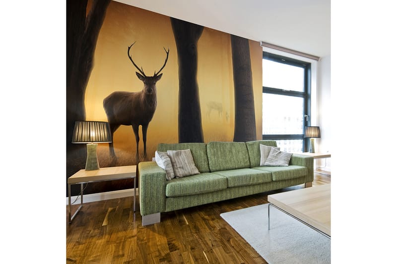 Fototapet Deer In His Natural Habitat 250x193 - Artgeist sp. z o. o. - Inredning - Tapet - Fototapet