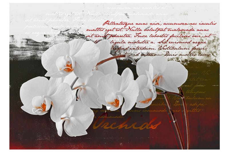 Fototapet Diary And Orchid 100x70 - Artgeist sp. z o. o. - Inredning - Tapet - Fototapet