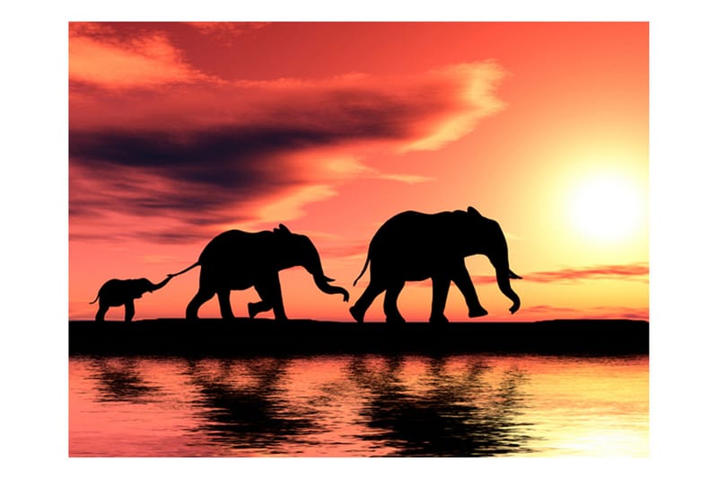 Fototapet Elephants Family 250x193 - Artgeist sp. z o. o. - Inredning - Tapet - Fototapet