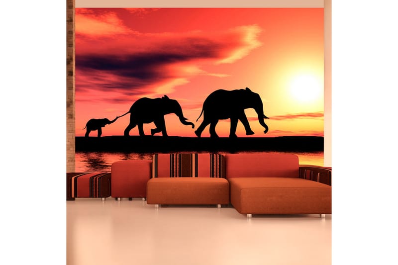 Fototapet Elephants Family 250x193 - Artgeist sp. z o. o. - Inredning - Tapet - Fototapet