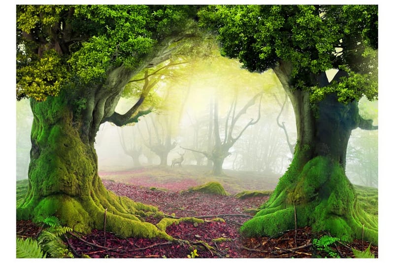 Fototapet Enchanted Forest 400x280 - Artgeist sp. z o. o. - Inredning - Tapet - Fototapet