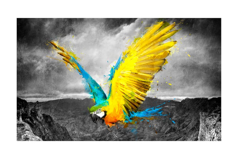 Fototapet Exotic Parrot 450x270 - Artgeist sp. z o. o. - Inredning - Tapet - Fototapet