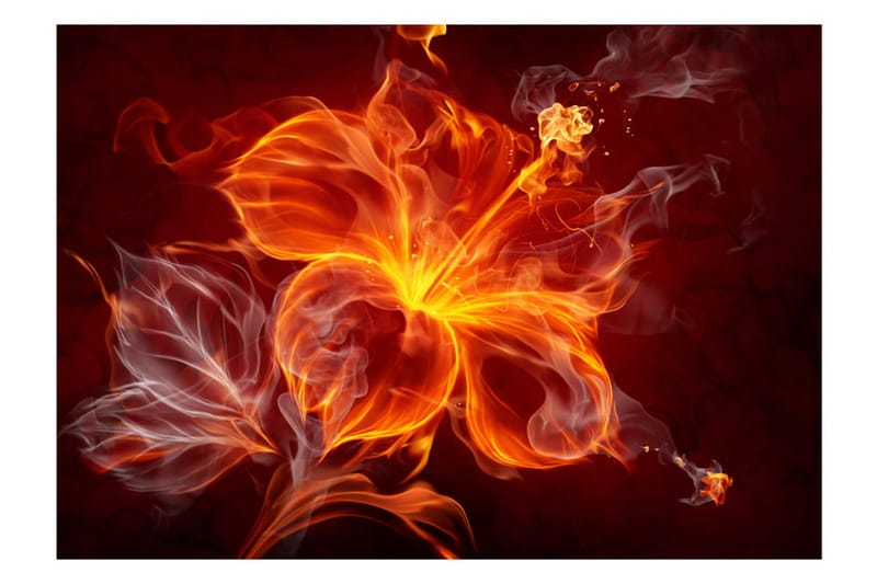 Fototapet Fiery Flower 200x140 - Artgeist sp. z o. o. - Inredning - Tapet - Fototapet