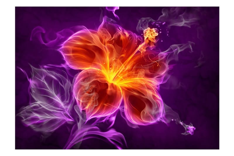 Fototapet Fiery Flower In Purple 350x245 - Artgeist sp. z o. o. - Inredning - Tapet - Fototapet