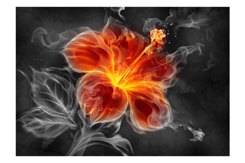 Fototapet Fiery Flower Inside The Smoke 200x140 - Artgeist sp. z o. o. - Inredning - Tapet - Fototapet