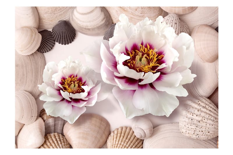 Fototapet Flowers And Shells 100x70 - Artgeist sp. z o. o. - Inredning - Tapet - Fototapet