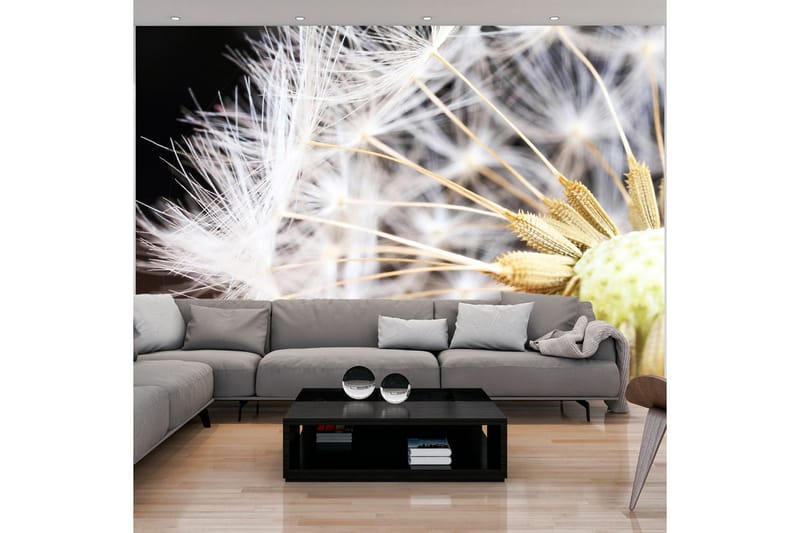 Fototapet Fluffy Dandelion 300x210 - Artgeist sp. z o. o. - Inredning - Tapet - Fototapet