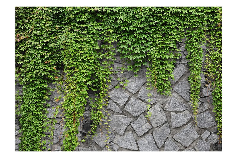 Fototapet Green Wall 100x70 - Artgeist sp. z o. o. - Inredning - Tapet - Fototapet