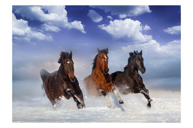 Fototapet Horses In The Snow 250x175 - Artgeist sp. z o. o. - Inredning - Tapet - Fototapet