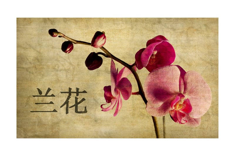 Fototapet Japanese Orchid 450x270 - Artgeist sp. z o. o. - Inredning - Tapet - Fototapet