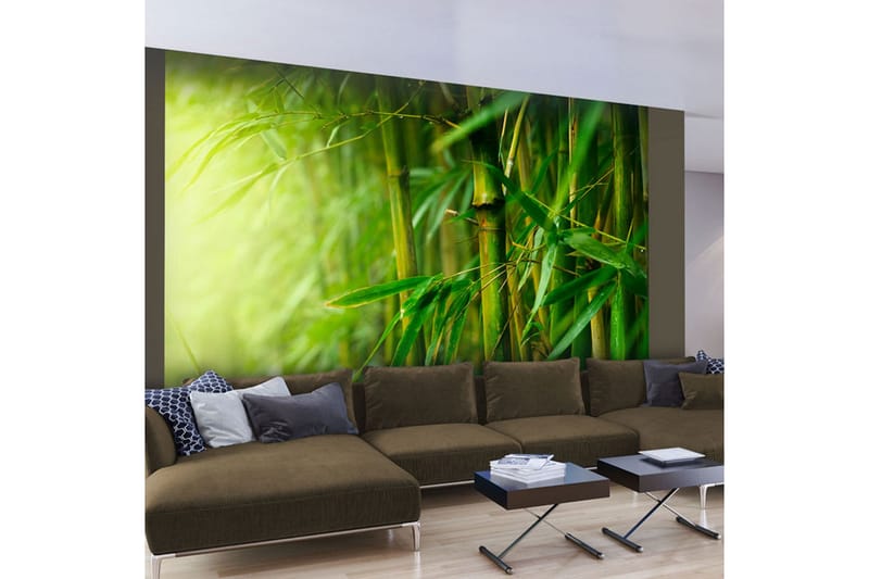 Fototapet Jungle Bamboo 250x193 - Artgeist sp. z o. o. - Inredning - Tapet - Fototapet