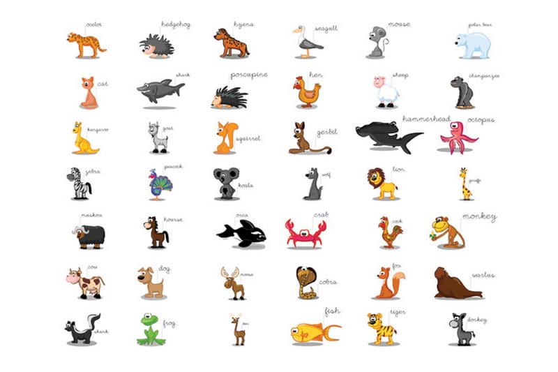 Fototapet Learning By Playing Animals 350x270 - Artgeist sp. z o. o. - Inredning - Tapet - Fototapet