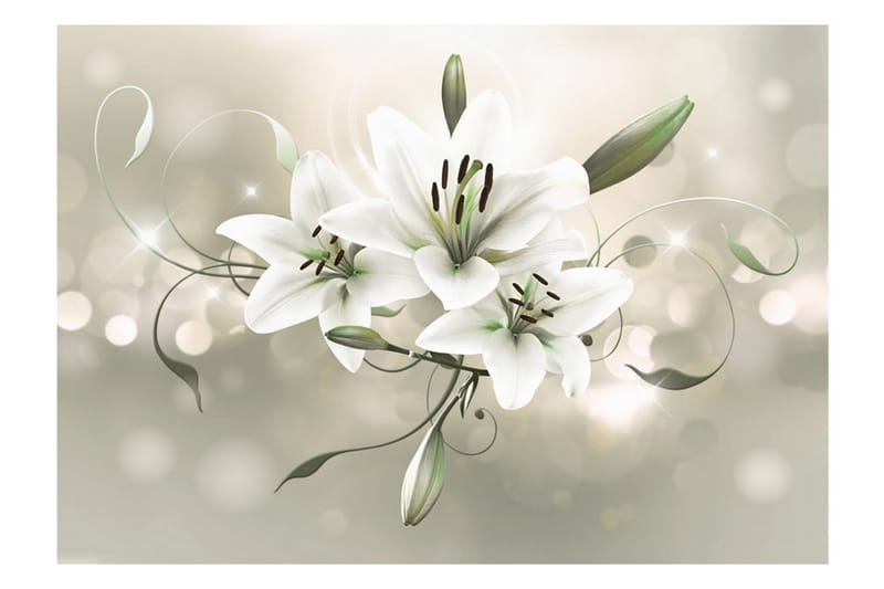 Fototapet Lily Flower Of Masters 200x140 - Artgeist sp. z o. o. - Inredning - Tapet - Fototapet