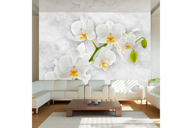 Fototapet Lyrical Orchid White 150x105 - Artgeist sp. z o. o. - Inredning - Tapet - Fototapet