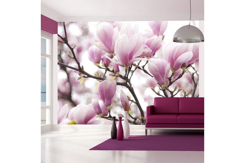 Fototapet Magnolia Bloosom 200x154 - Artgeist sp. z o. o. - Inredning - Tapet - Fototapet