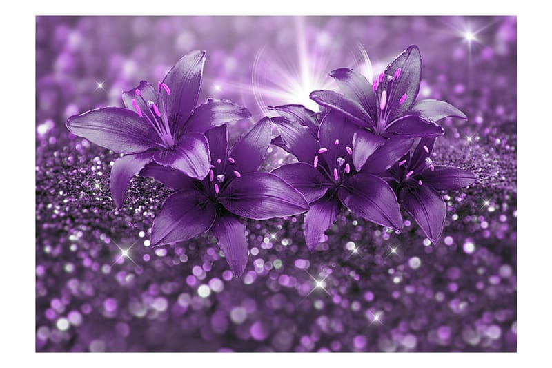 Fototapet Masterpiece Of Purple 400x280 - Artgeist sp. z o. o. - Inredning - Tapet - Fototapet